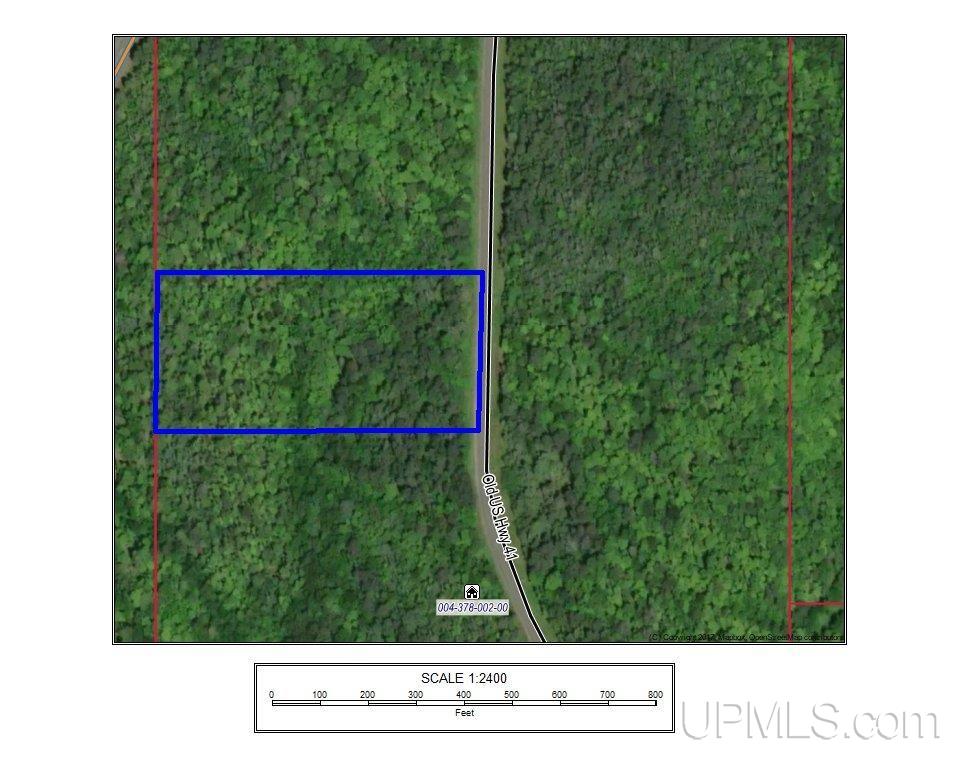 Tbd Dogpatch Road, Unit LOT I Lanse, MI 49946 - Photo 3 of 25