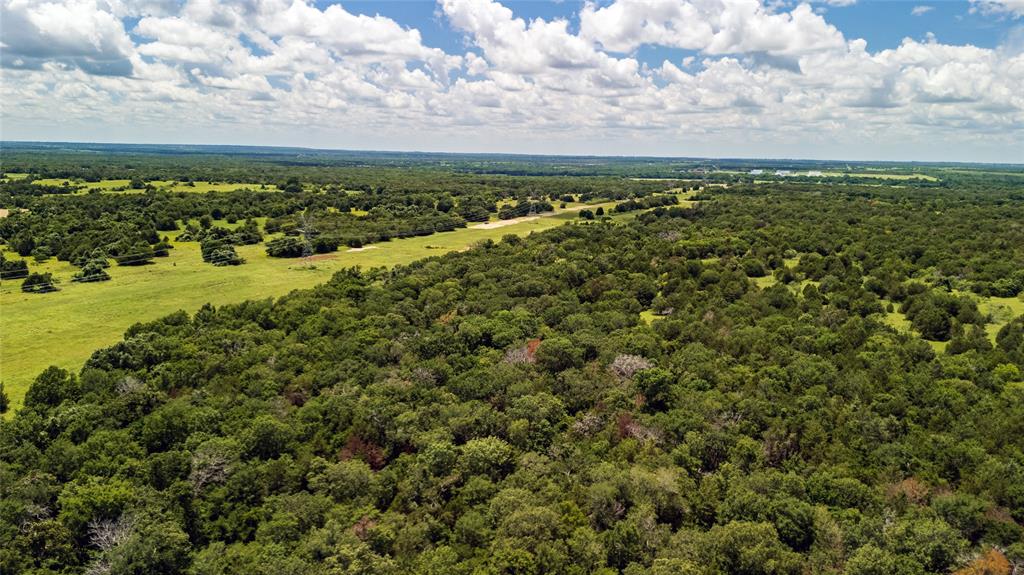 Tract 12 Fm-1366 Wortham, TX 76693 - Photo 20 of 21 a view of an ocean
