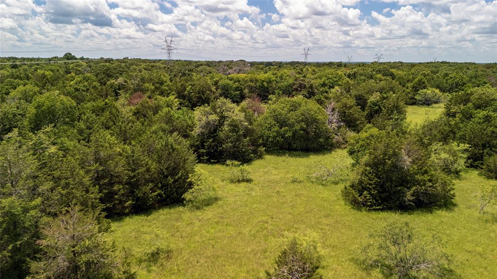 Tract 12 Fm-1366 Wortham, TX 76693 - Photo 5 of 21 a view of a bunch of trees and bushes