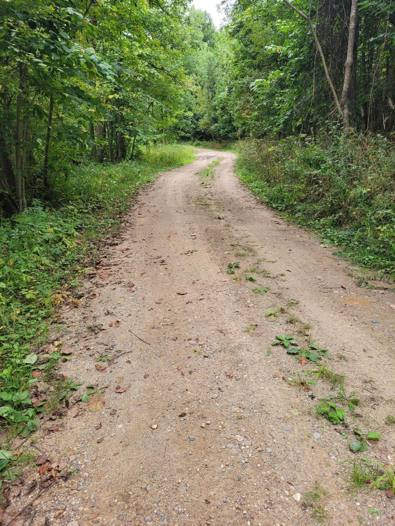 Scott Road Nashville, MI 49073 - Photo 1 of 7 20230919_135907