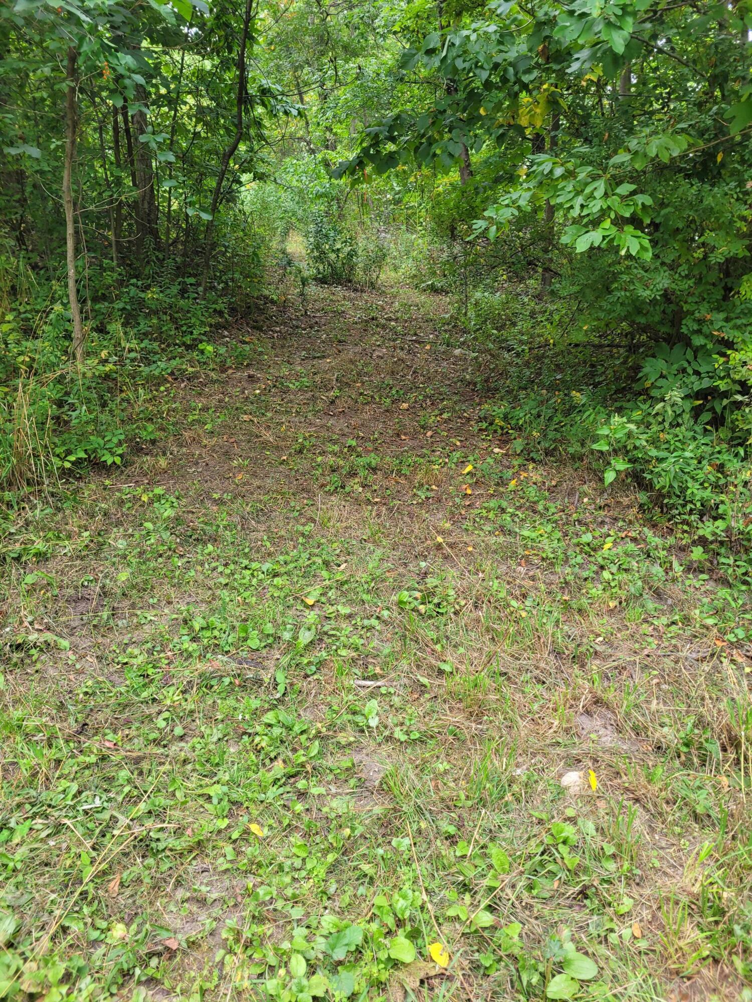Scott Road Nashville, MI 49073 - Photo 2 of 7 20230919_135901