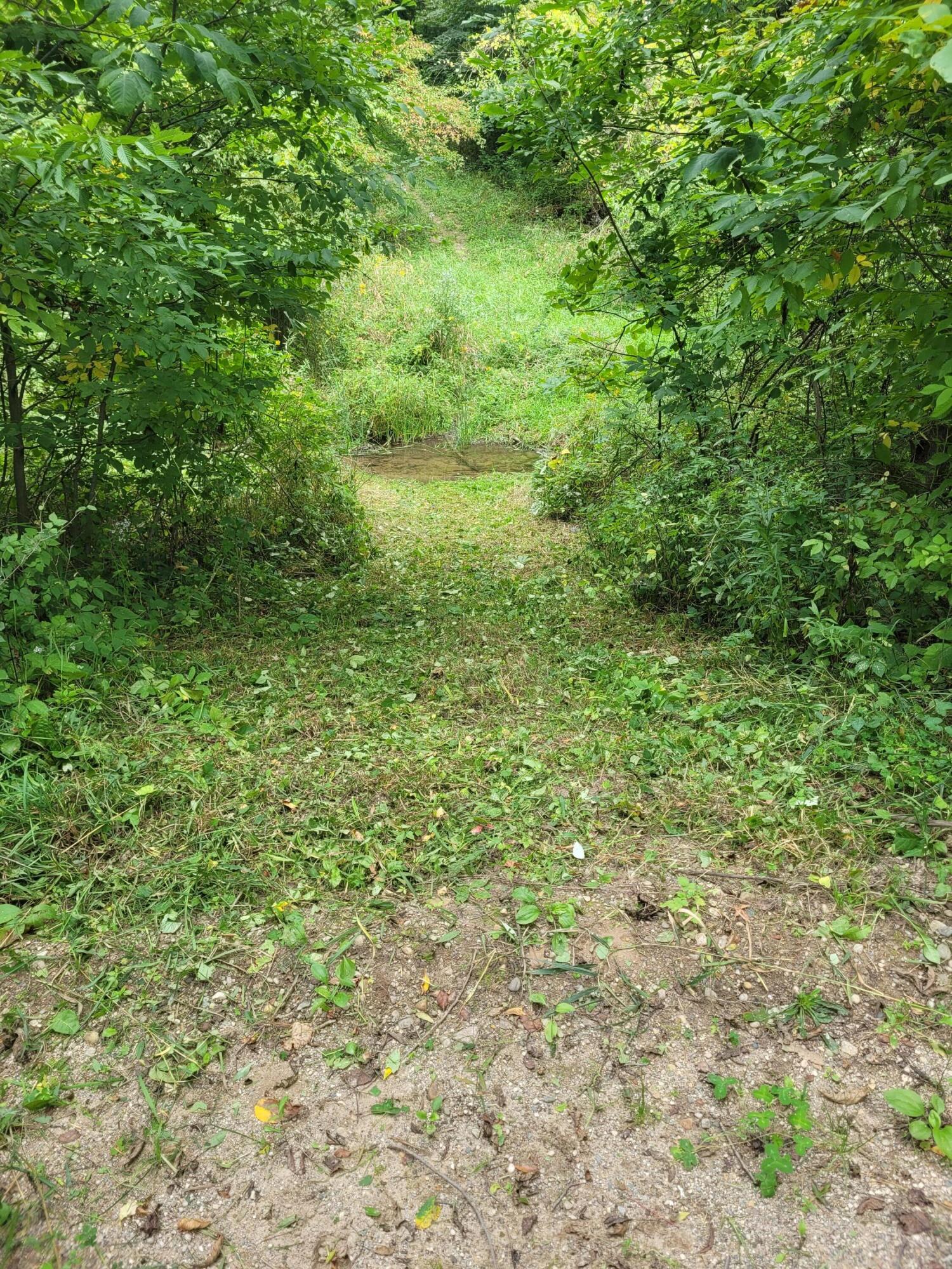 Scott Road Nashville, MI 49073 - Photo 5 of 7 20230919_134321