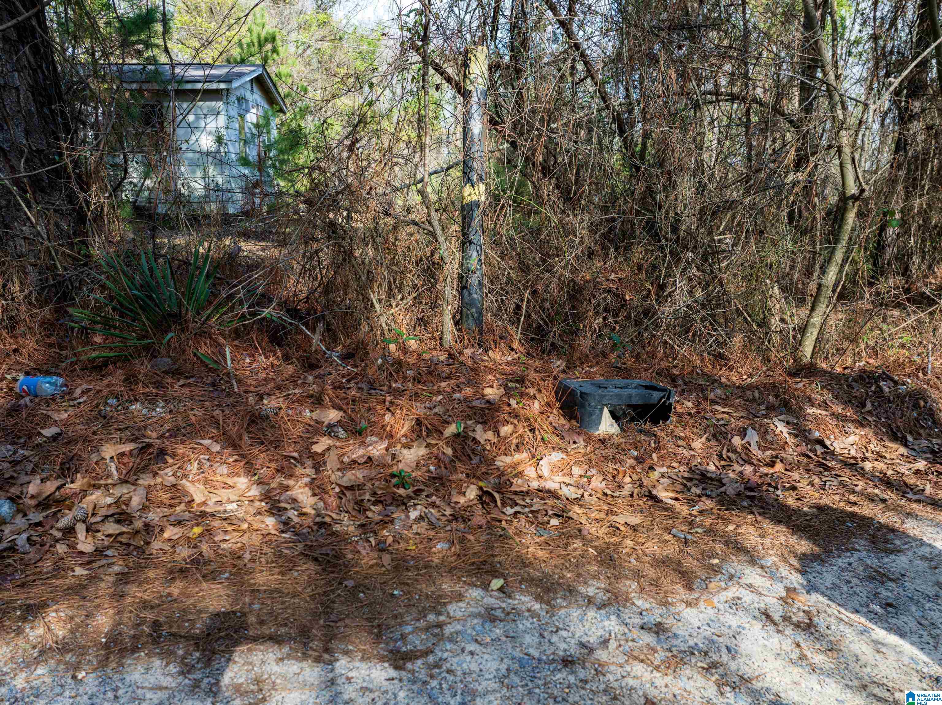 0 Flat Rock Road Tallassee, AL 36078 - Photo 12 of 13