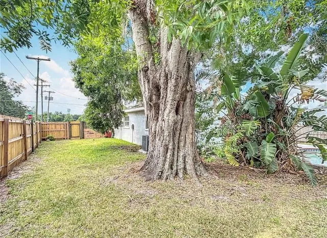 a view of a yard with large tree