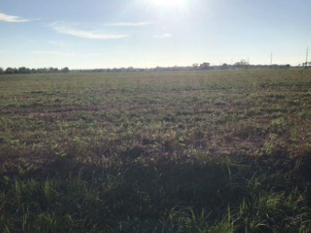 Lot 8 Hamilton Boulevard Foley, AL 36535 - Photo 5 of 5