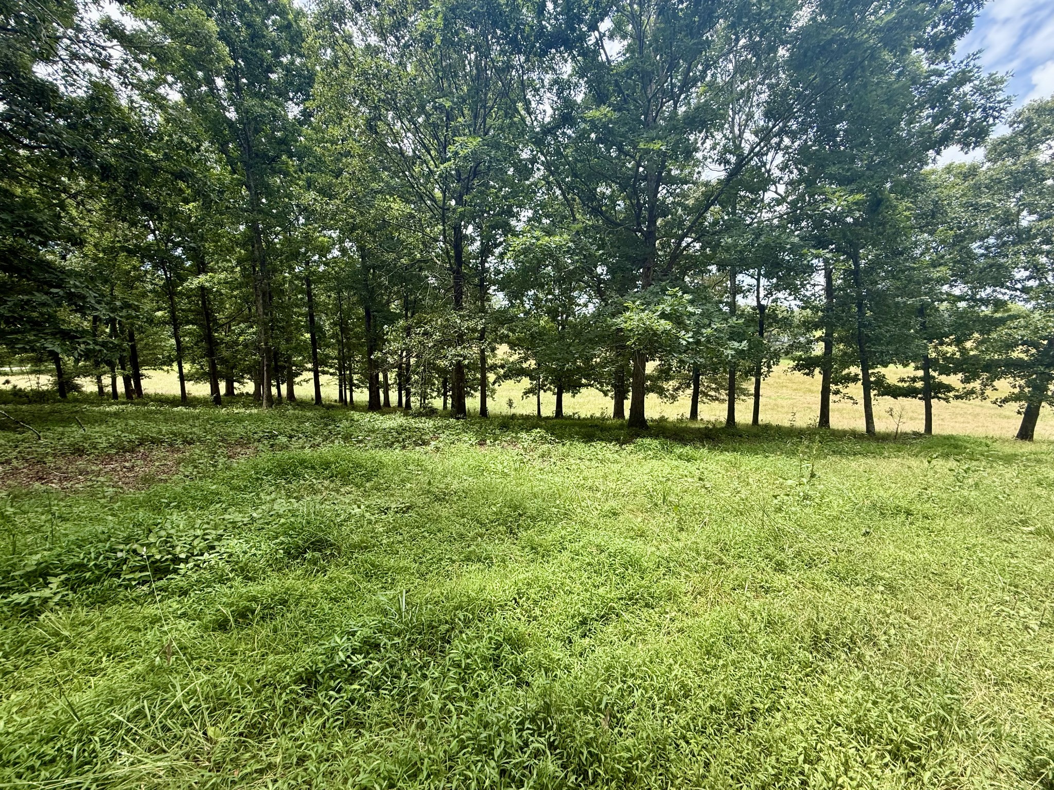 0 Crowder Road Lawrenceburg, TN 38464 - Photo 58 of 58