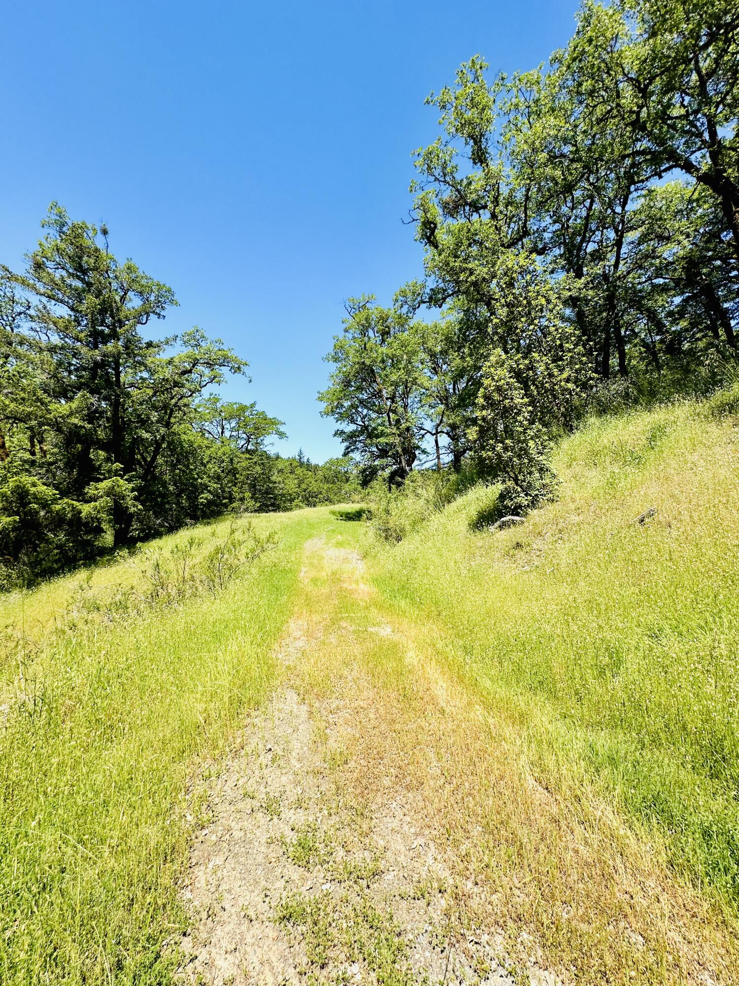 400 Seely Creek Road Redway, CA 95560 - Photo 47 of 73
