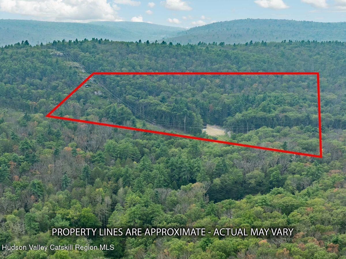 134 Irish Cape Road Napanoch, NY 12458 - Photo 5 of 47 a view of a lush green field