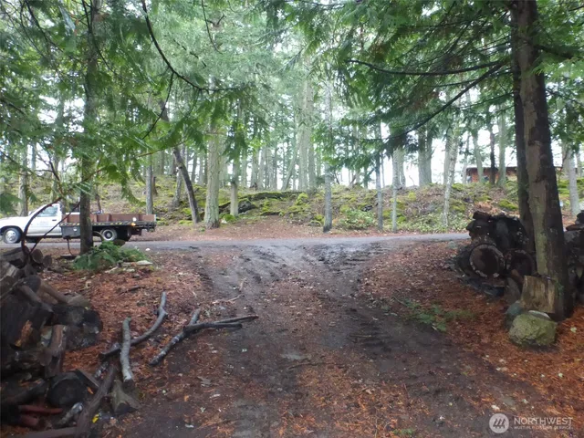 a view of a yard with a tree
