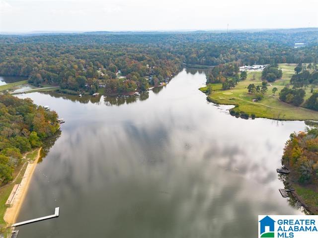 13840 Ginger Drive McCalla, AL 35111 - Photo 4 of 35