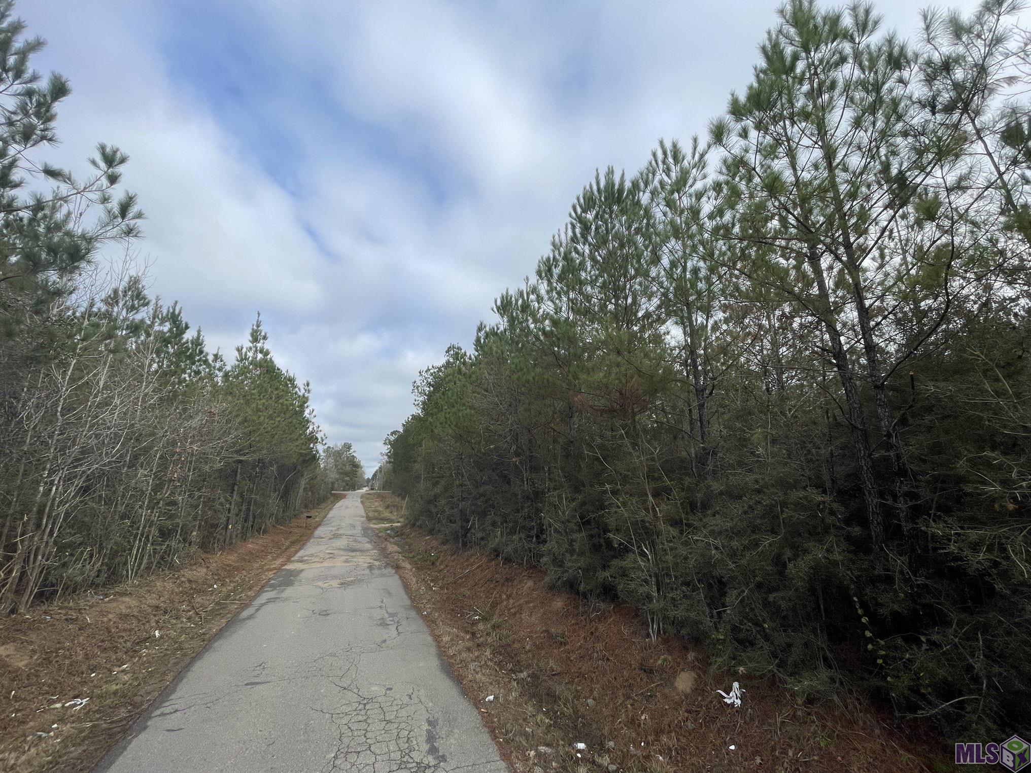 Tract T Genola Road Clinton, LA 70722 - Photo 1 of 6 Gallery Image 1