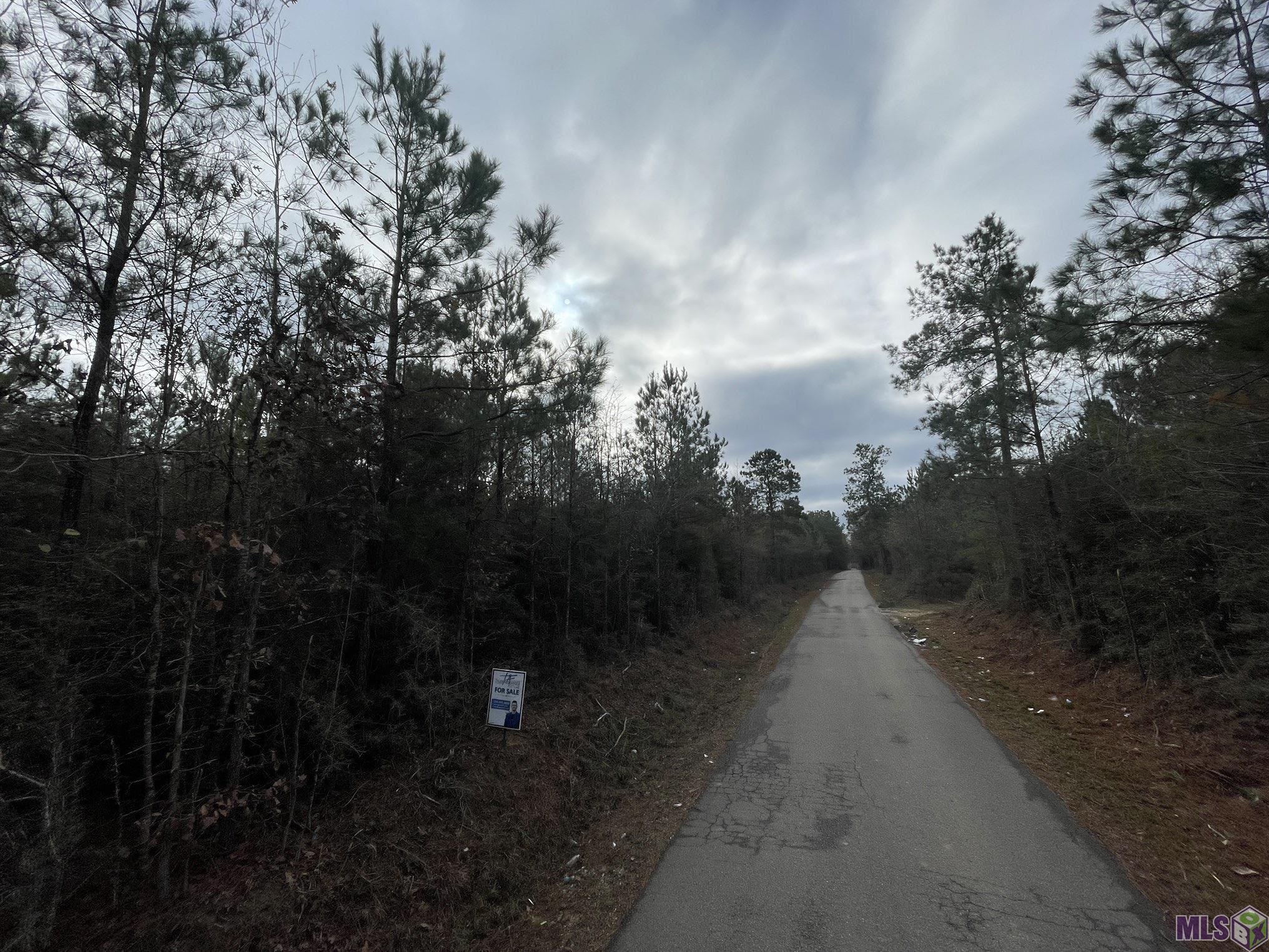 Tract T Genola Road Clinton, LA 70722 - Photo 3 of 6 Gallery Image 3
