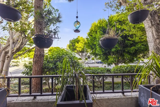 a view of a yard and potted plants