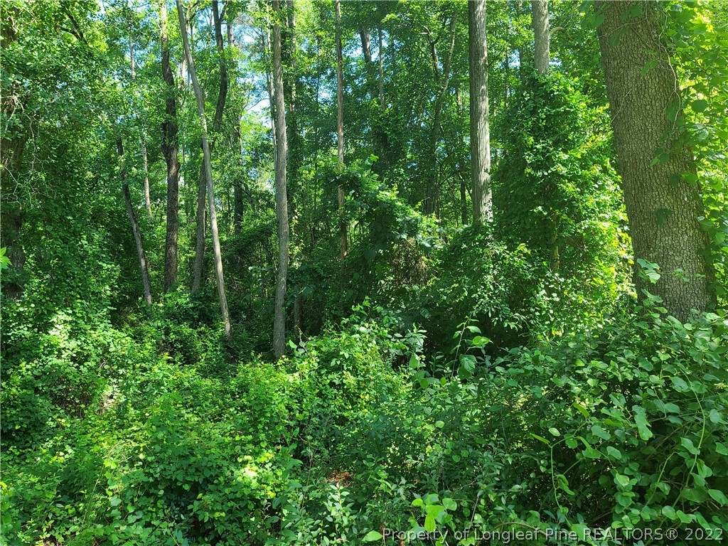 3303 Shaw Mill Road St. Pauls, NC 28384 - Photo 36 of 40 Gallery Image 36