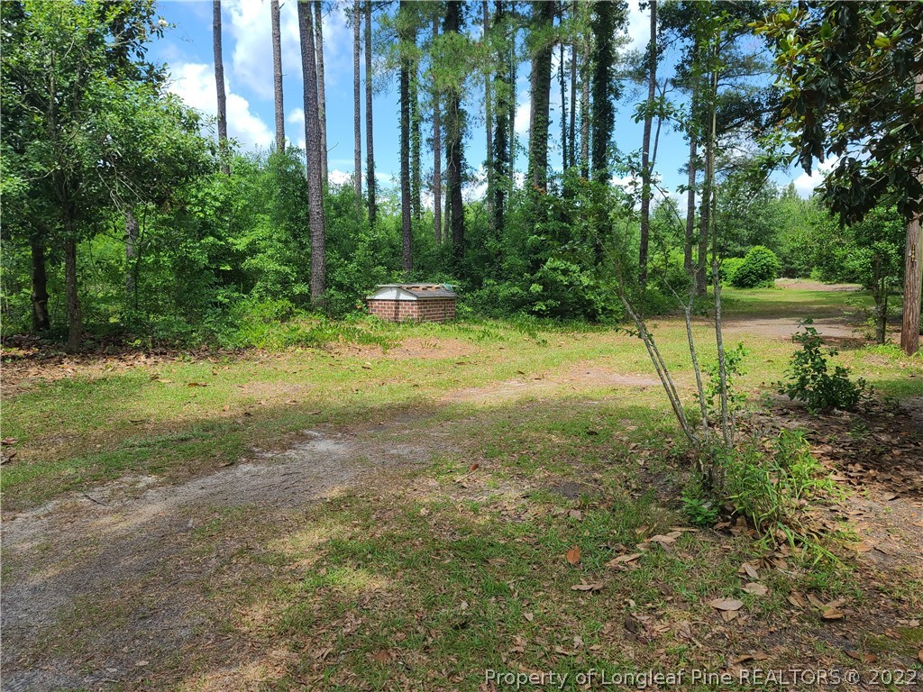 3303 Shaw Mill Road St. Pauls, NC 28384 - Photo 39 of 40 Gallery Image 39