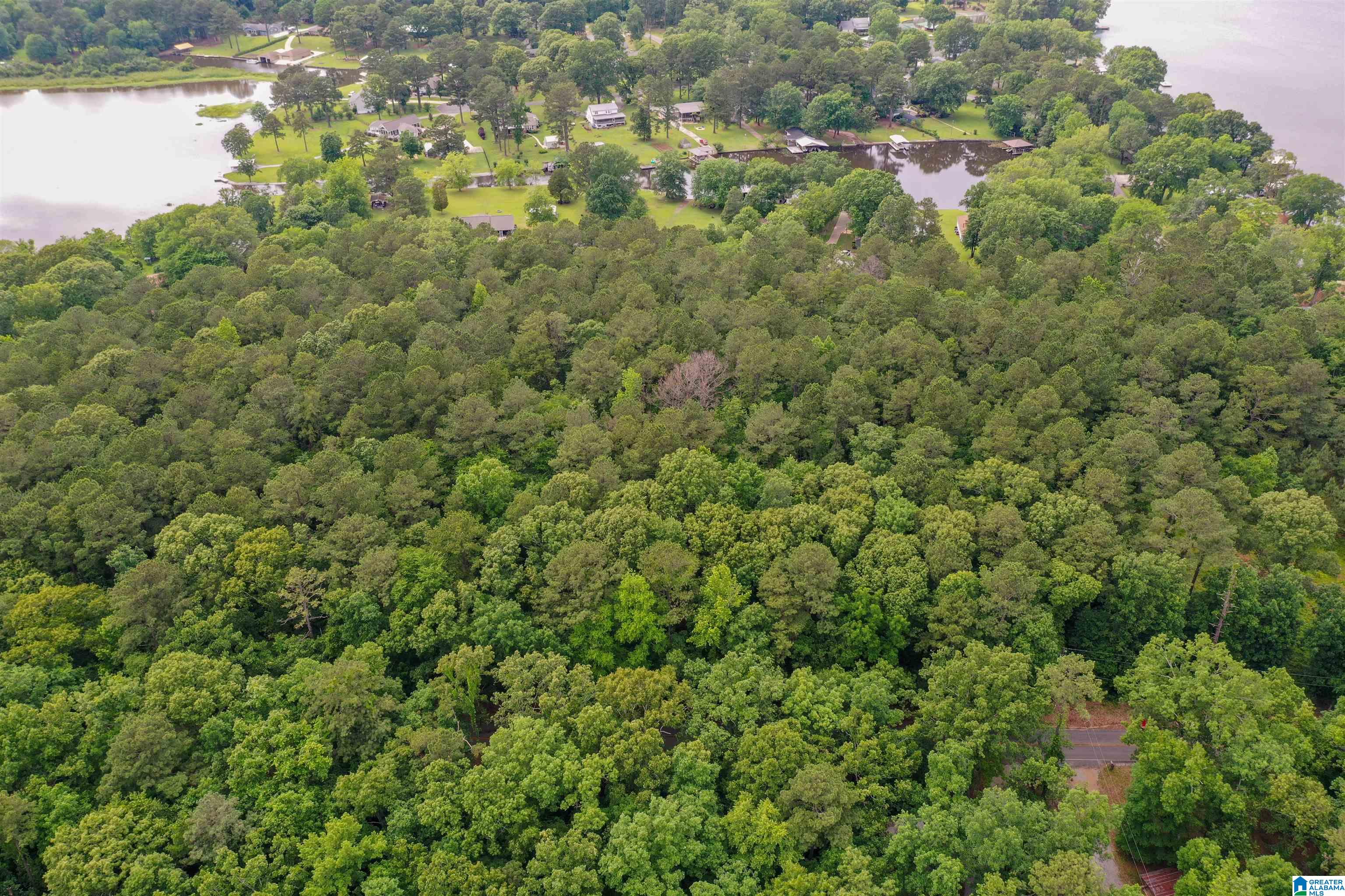 River Drive, Unit 33 Shelby, AL 35143 - Photo 7 of 25