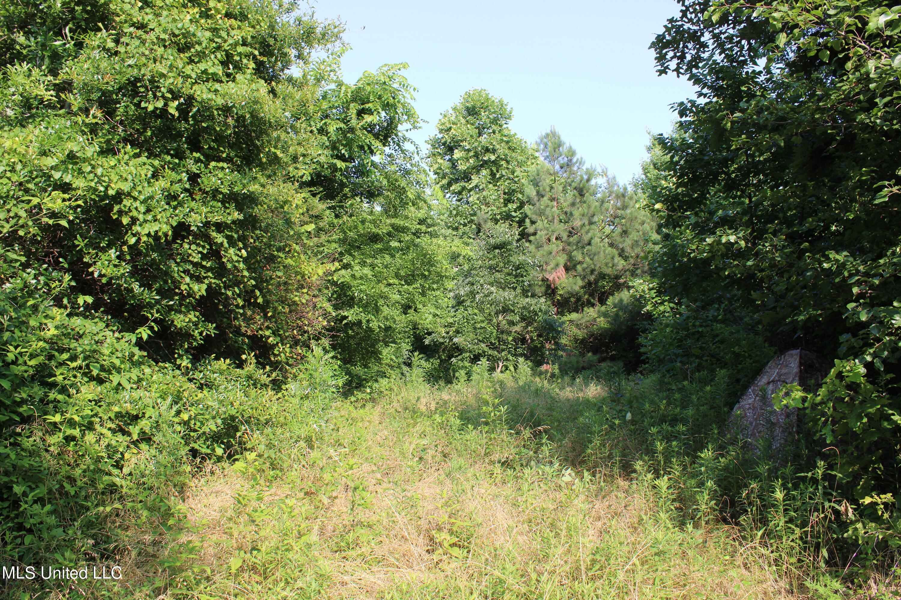 1003 Longtown Road Sarah, MS 38665 - Photo 36 of 46 IMG_1379