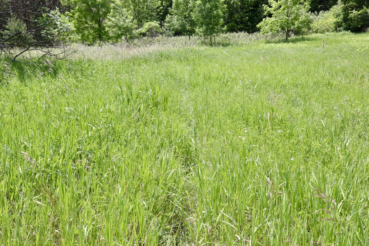 6182 Hamilton Road Harrison, MI 48625 - Photo 12 of 77