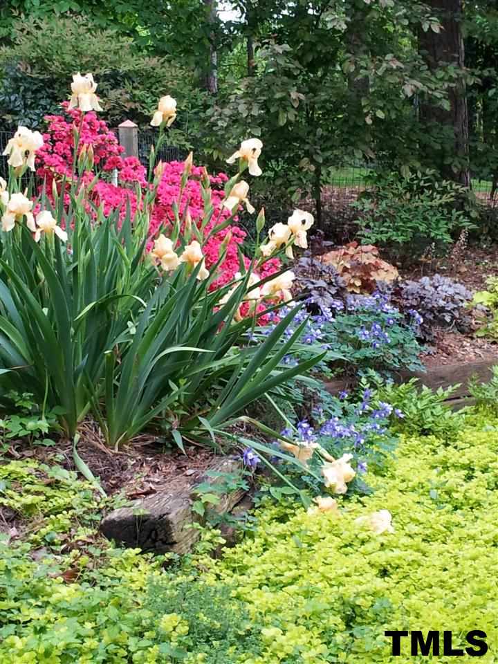 2703 Wayland Drive Raleigh, NC 27608 - Photo 21 of 22