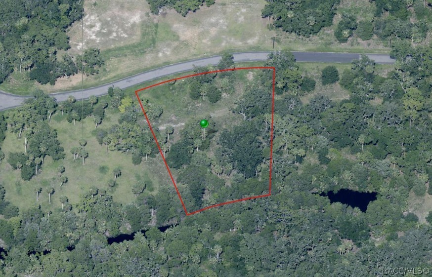 11120 North River Walk Point Inglis, FL 34449 - Photo 3 of 11 a view of a forest with a yard