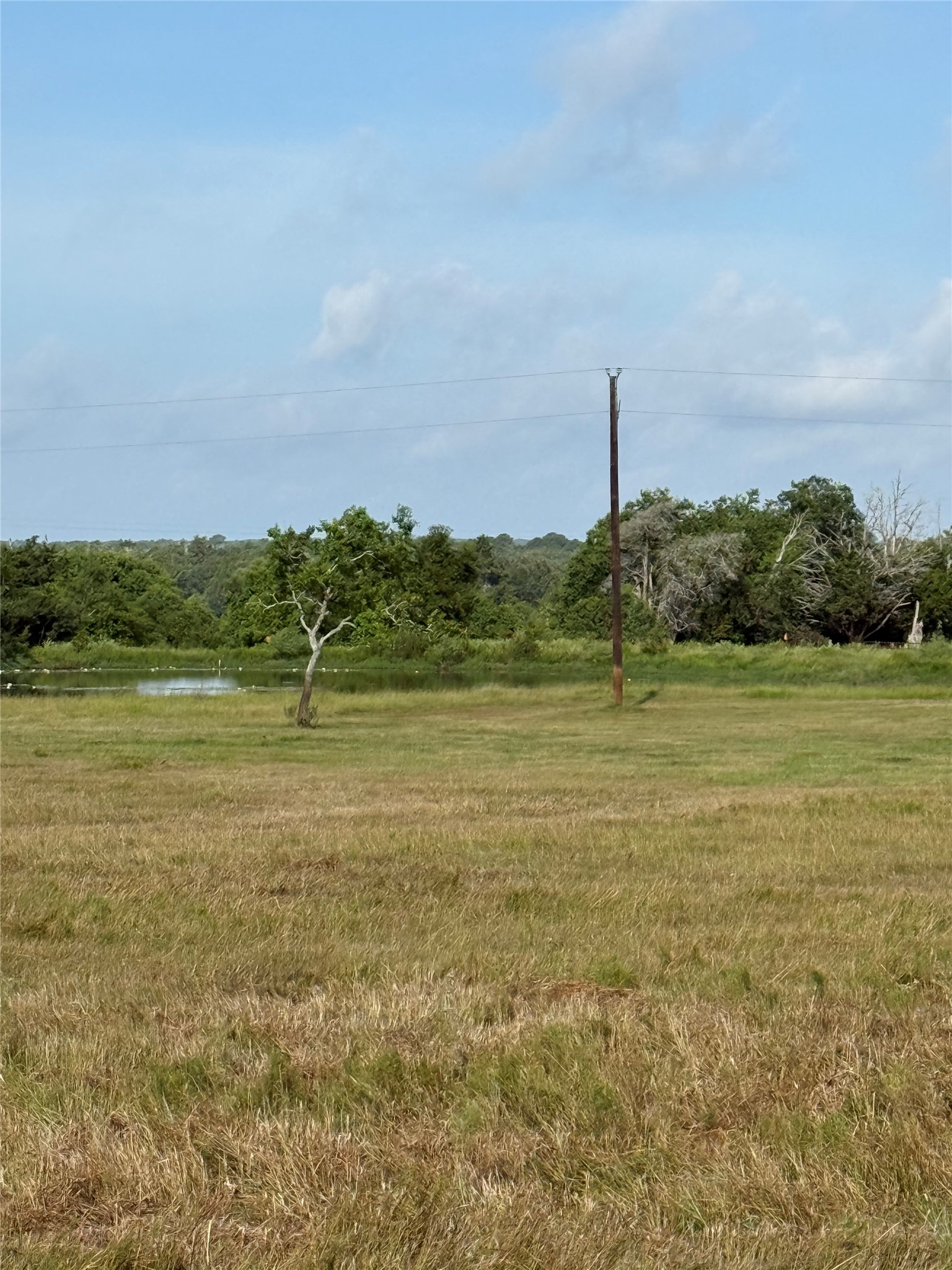 1 Reitz Quinn Road Cat Spring, TX 78933 - Photo 7 of 19 Gallery Image 7