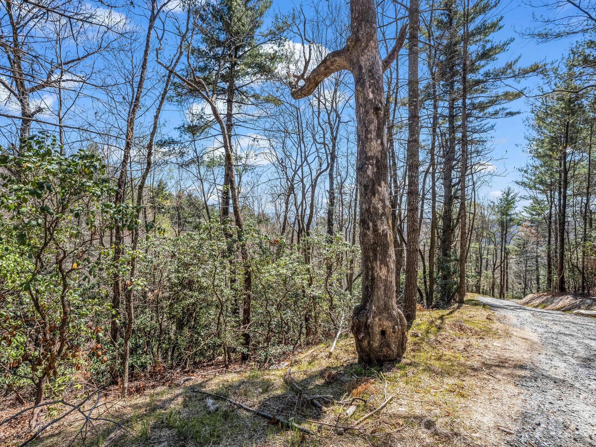 999 Bulling Creek Road Penrose, NC 28766 - Photo 3 of 37