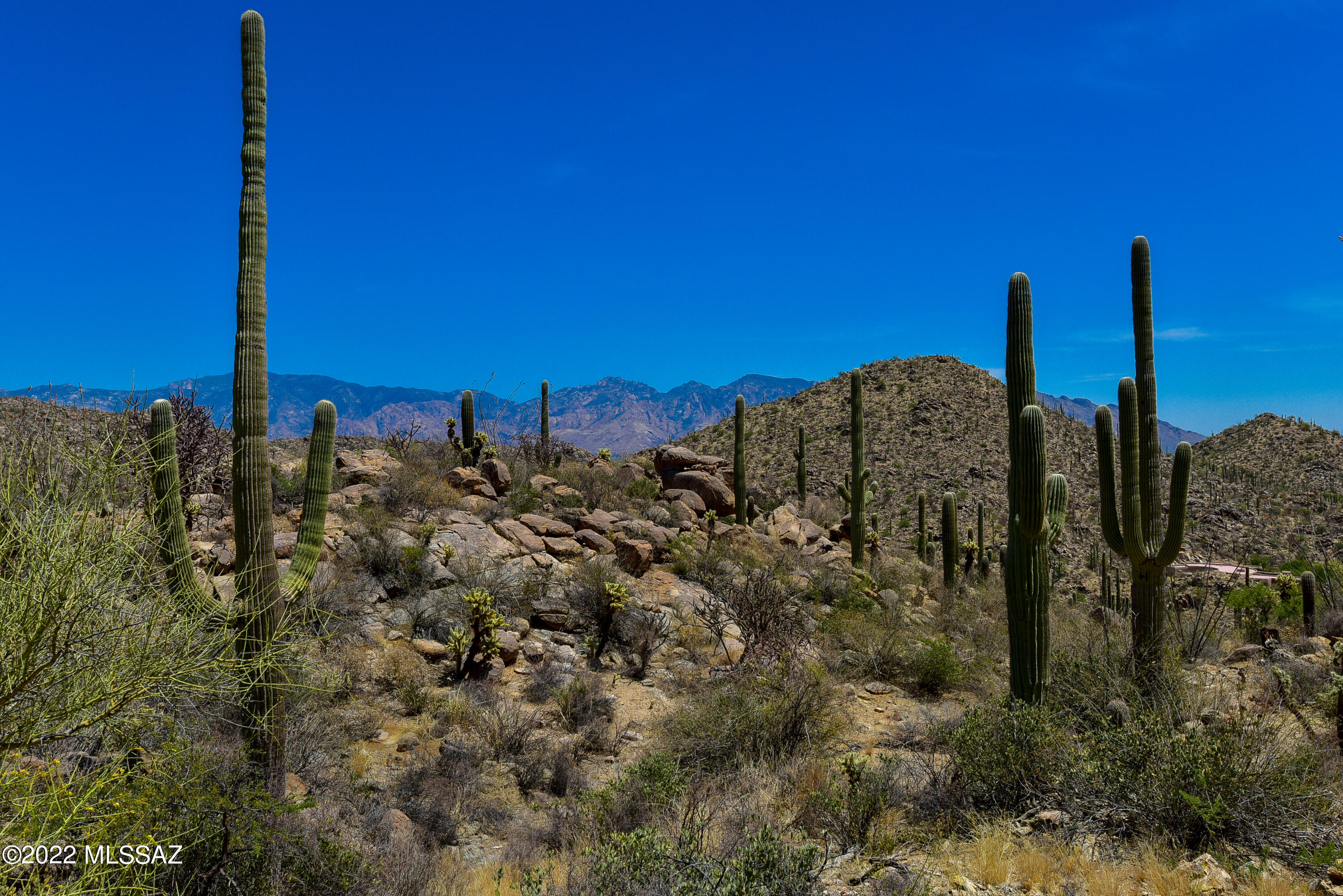 14168 North Old Ranch House Road, Unit LOT 40 Marana, AZ 85658 - Photo 3 of 15