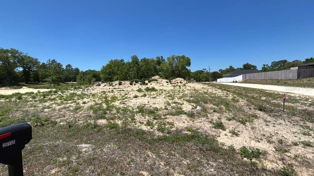 141 Southwest Sw Court Ocala, FL 34481 - Photo 1 of 1 a view of a yard with a tree