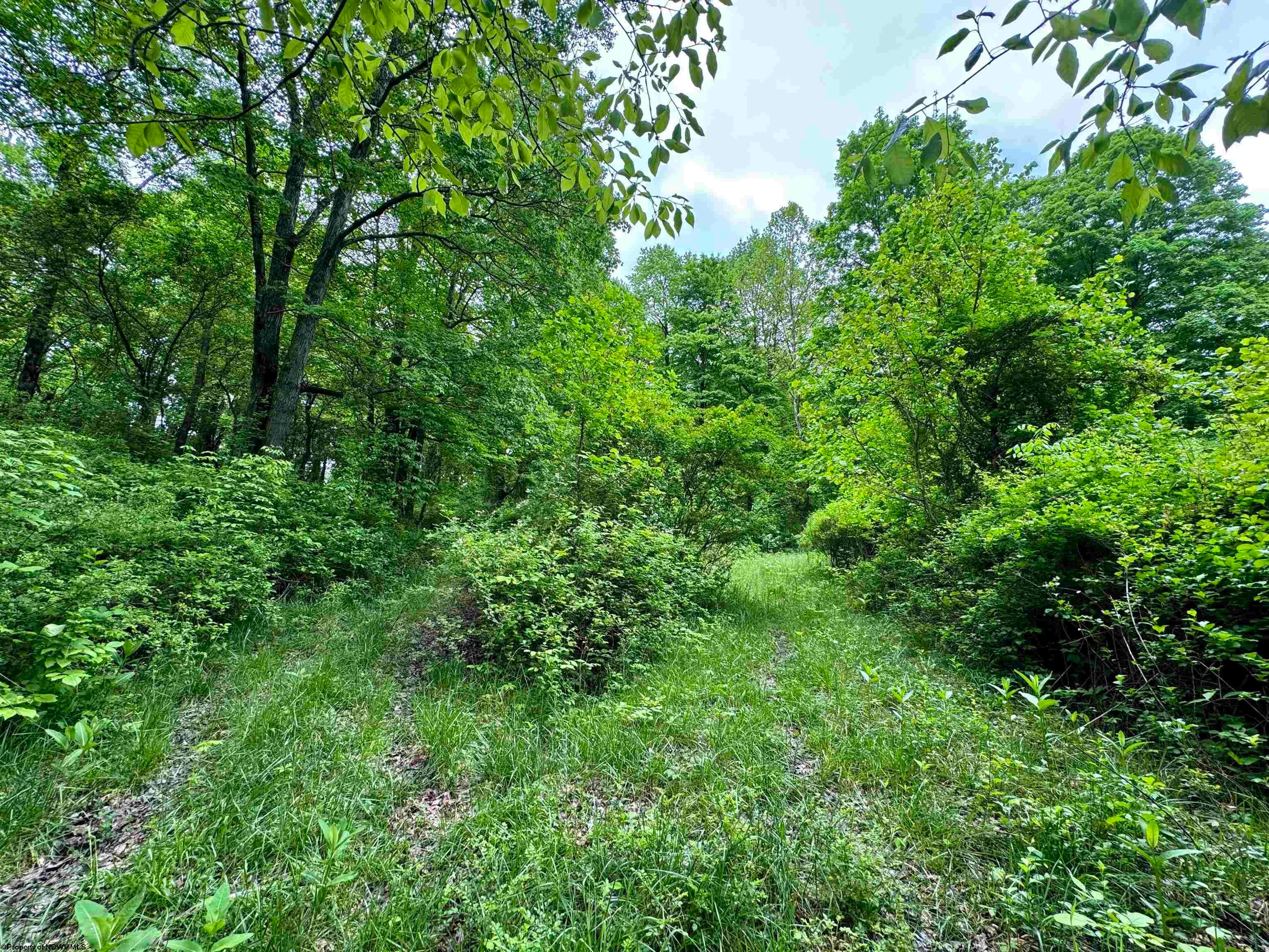 Tbd Hopewell Road Fairmont, WV 26554 - Photo 21 of 35 Gallery Image 21