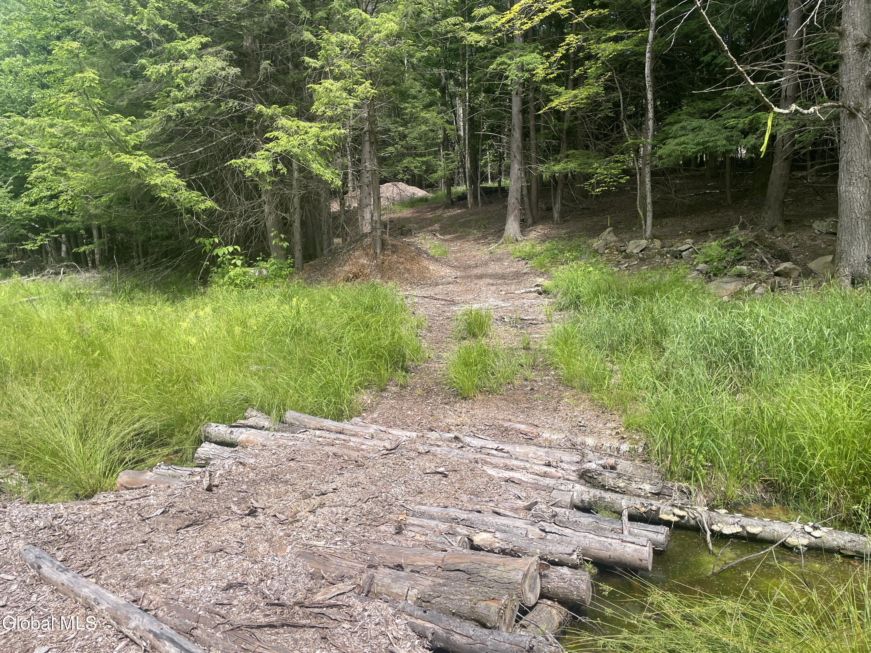 L36 Boulder Brook Road, Unit LOT # 12 Windham, NY 12496 - Photo 3 of 44 IMG_0591