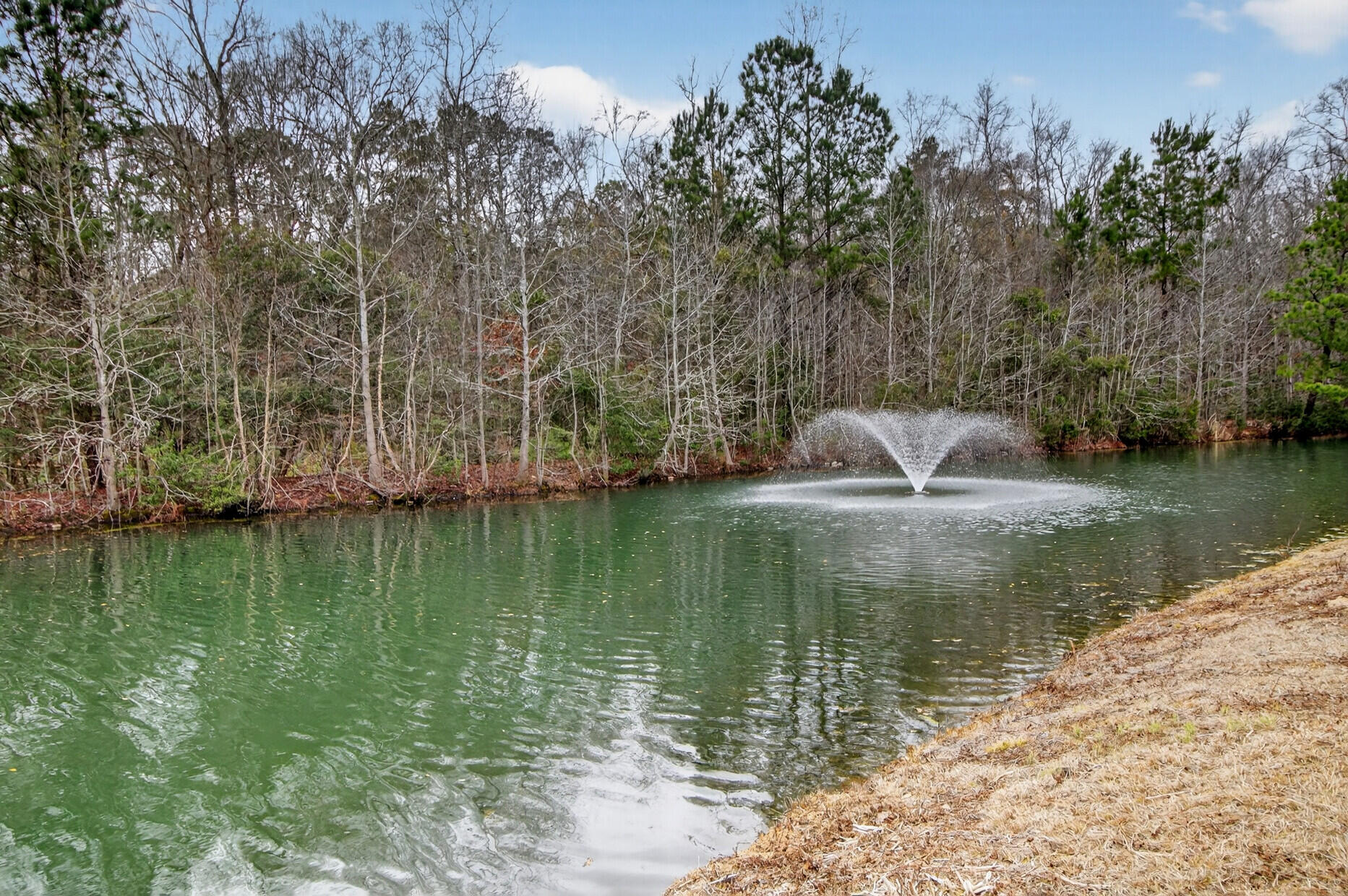3630 Pimmit Place Ladson, SC 29456 - Photo 35 of 41 38_38_mls