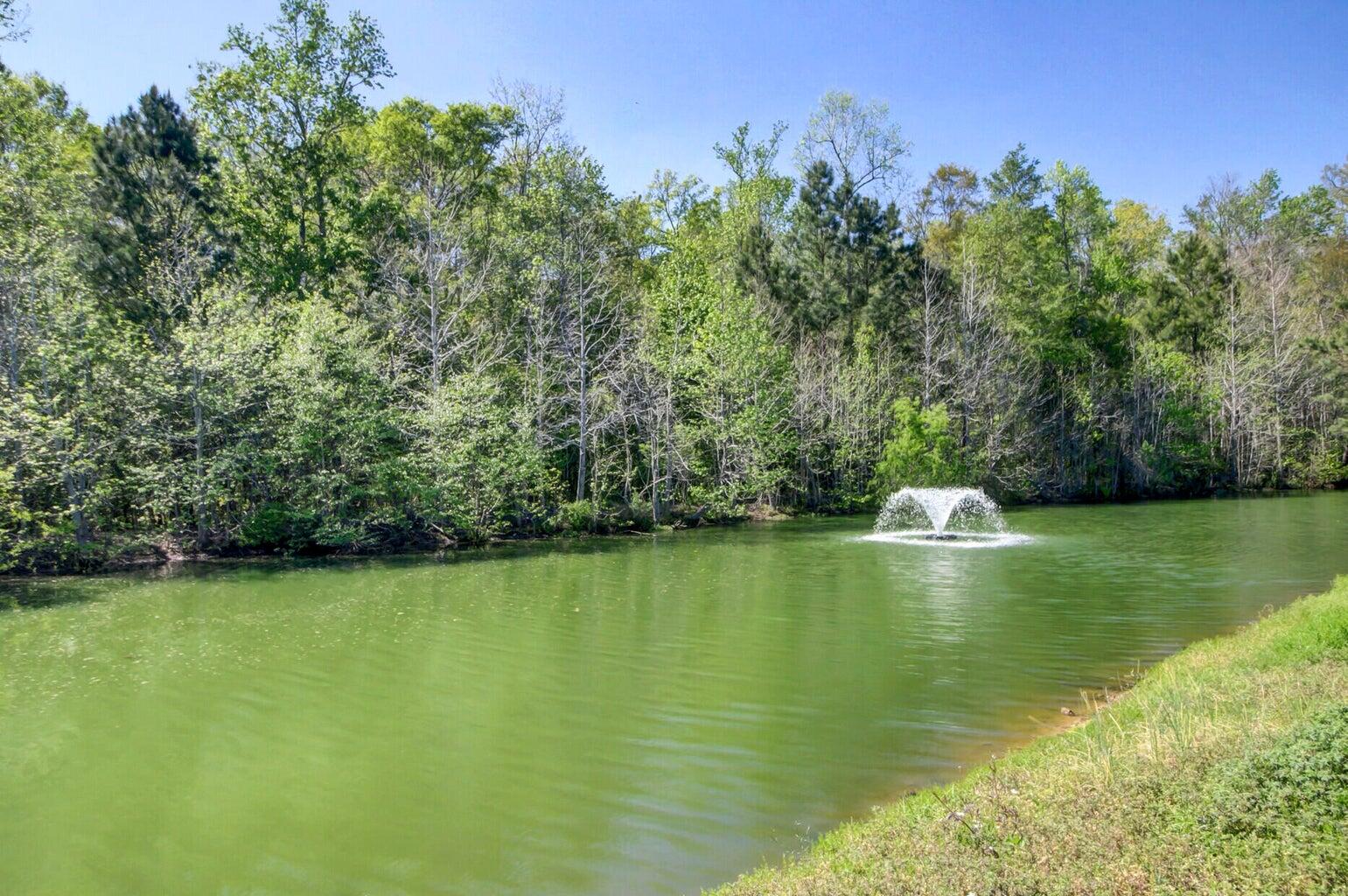 3630 Pimmit Place Ladson, SC 29456 - Photo 36 of 41 20230327175719438016000000-o (1)