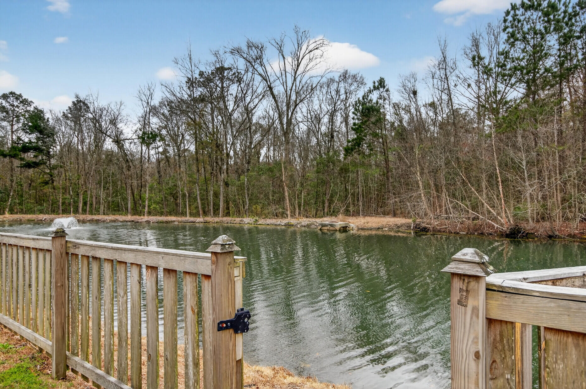 3630 Pimmit Place Ladson, SC 29456 - Photo 37 of 41 39_39_mls