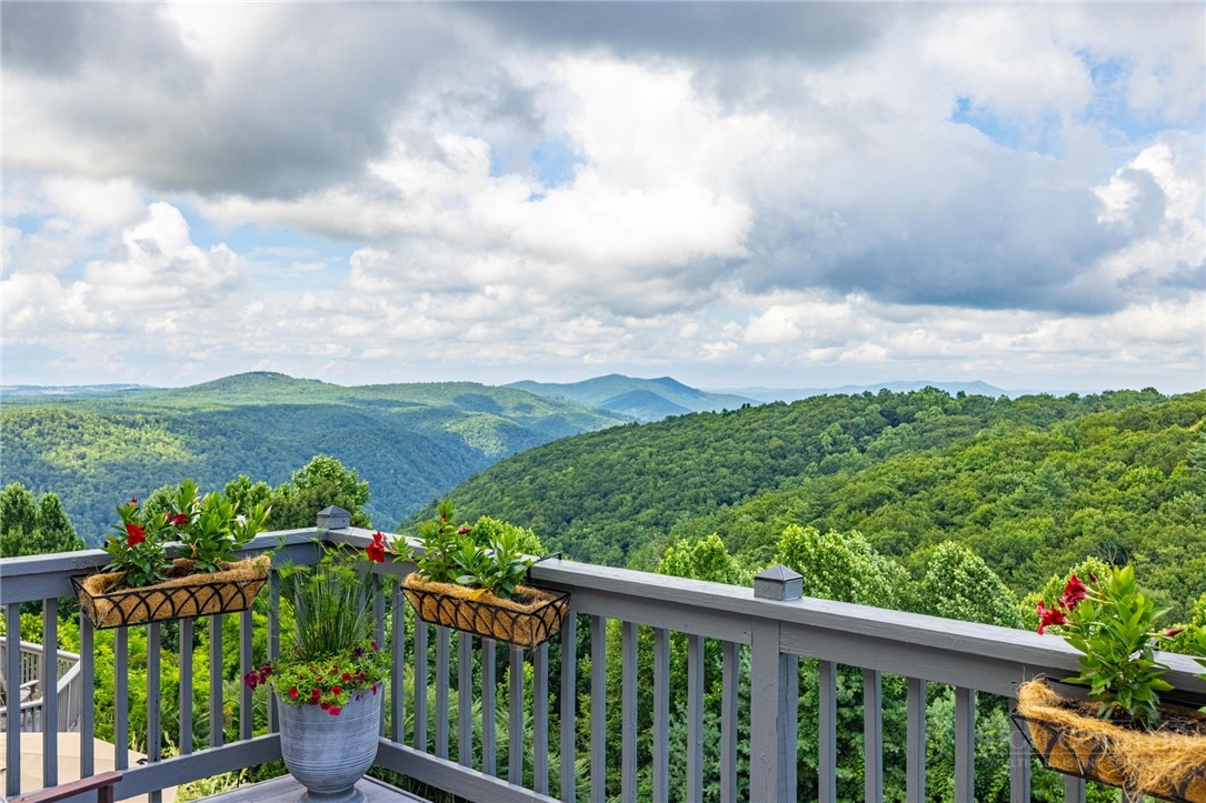 50 Mitchell River Ridge Thurmond, NC 28683 - Photo 2 of 43 a view of a balcony with flower plants