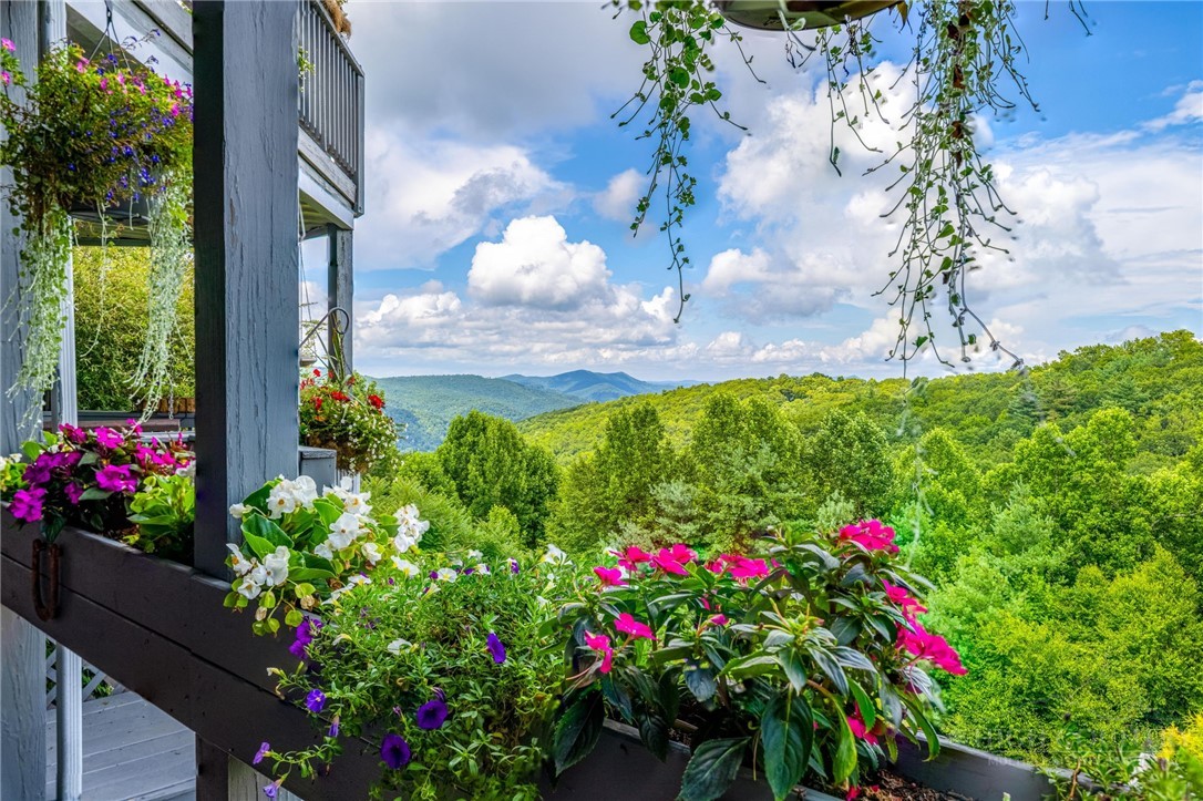 50 Mitchell River Ridge Thurmond, NC 28683 - Photo 36 of 43 a flower plants in front of flowers