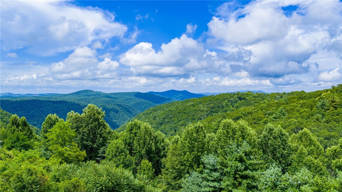 50 Mitchell River Ridge Thurmond, NC 28683 - Photo 37 of 43 a view of a bunch of trees