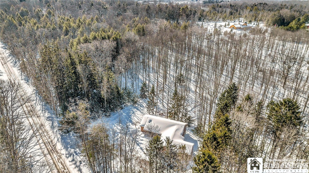 2739 Butts Road North Harmony, NY 14710 - Photo 50 of 50