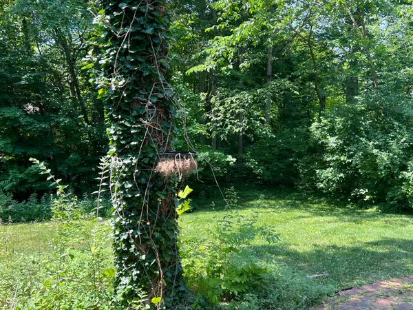$2,700 | 32 Cricket Knoll Lane, Carmel, IN 46033