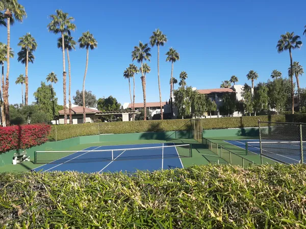 a view of a garden