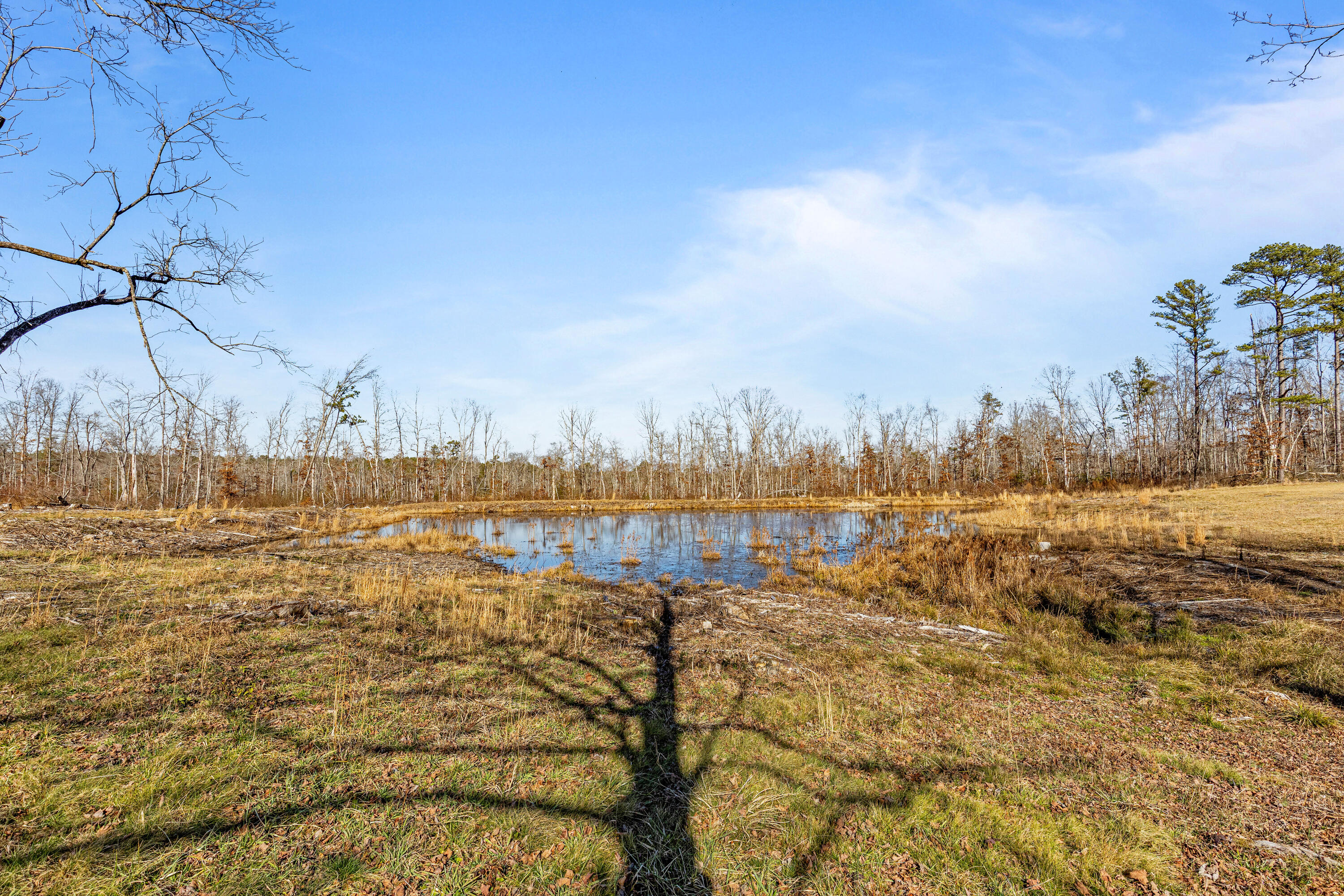 711 Lick Point Road Sequatchie, TN 37374 - Photo 63 of 93 Lickpoint-56