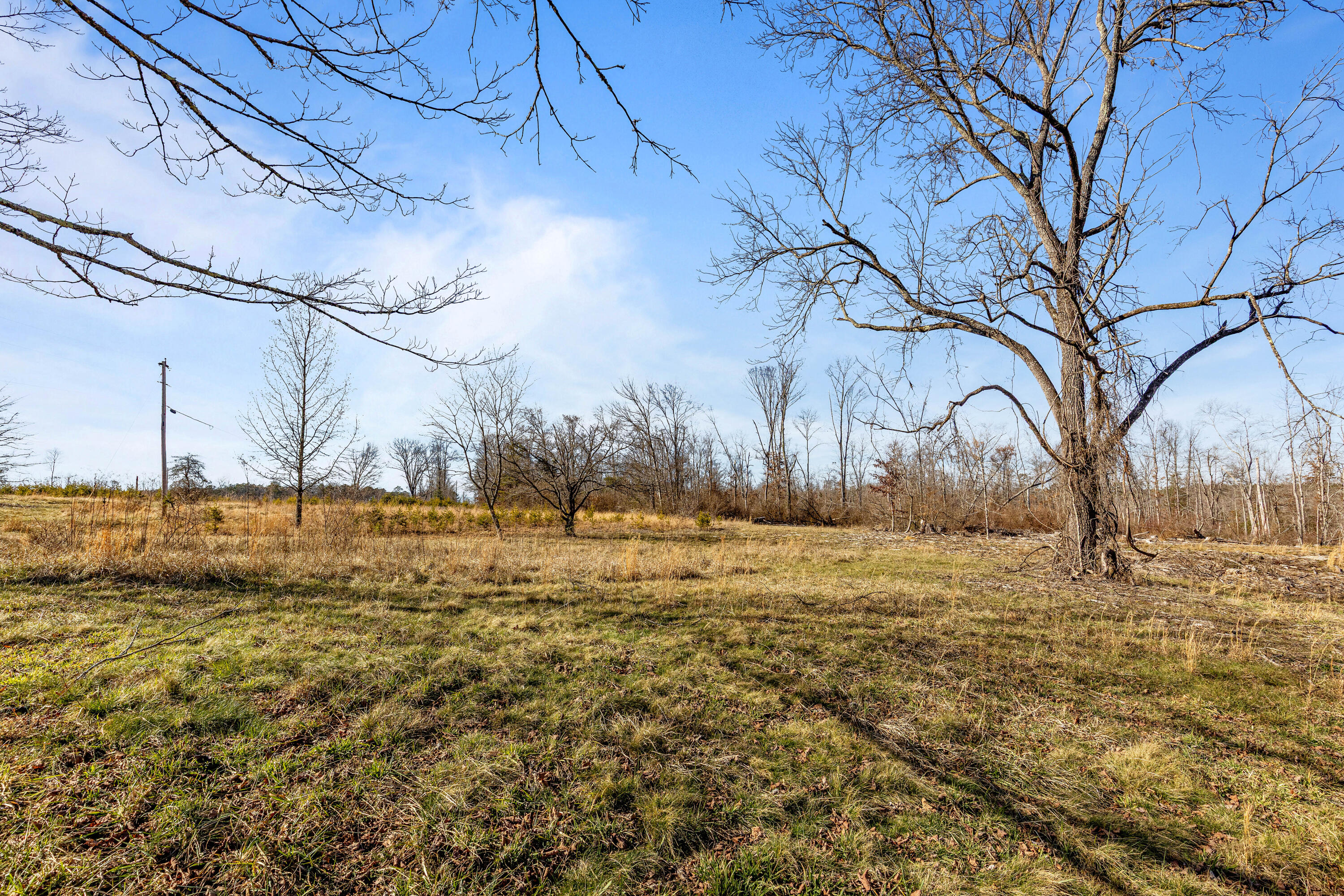 711 Lick Point Road Sequatchie, TN 37374 - Photo 69 of 93 Lickpoint-57