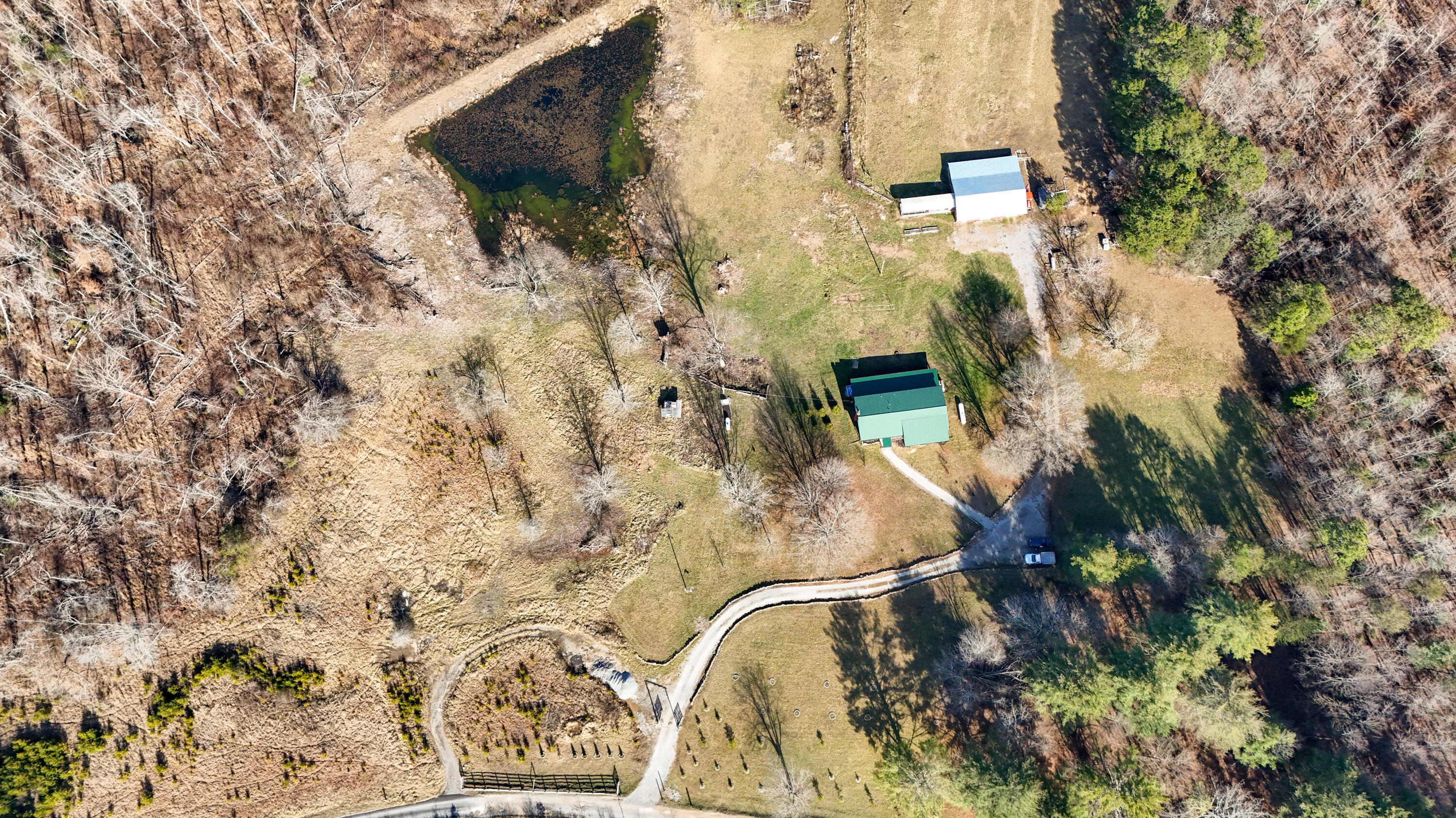 711 Lick Point Road Sequatchie, TN 37374 - Photo 83 of 93 Lickpoint-78