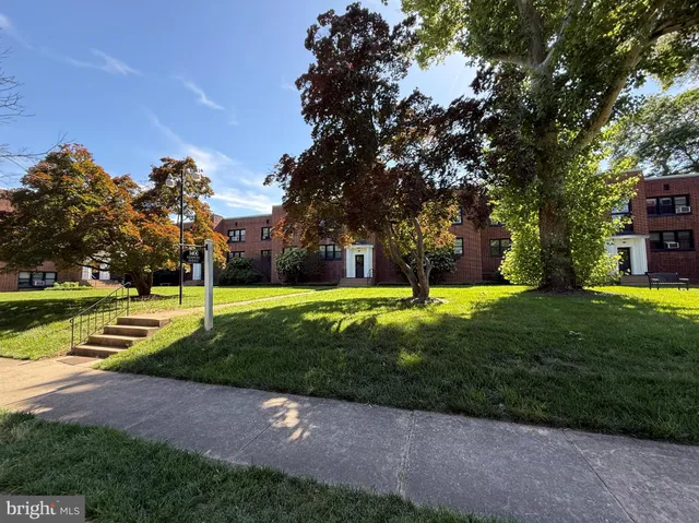 a view of a park with large trees