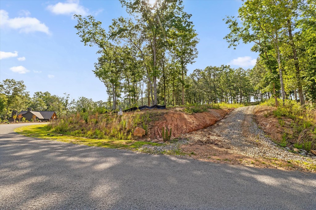 Lot 85 Split Creek Road Morganton, GA 30560 - Photo 3 of 23