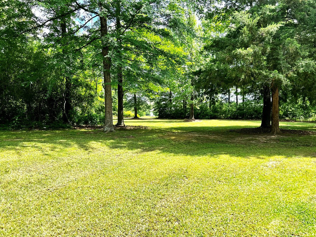 1072 Coffey Road Tylertown, MS 39667 - Photo 9 of 13 Photo 9