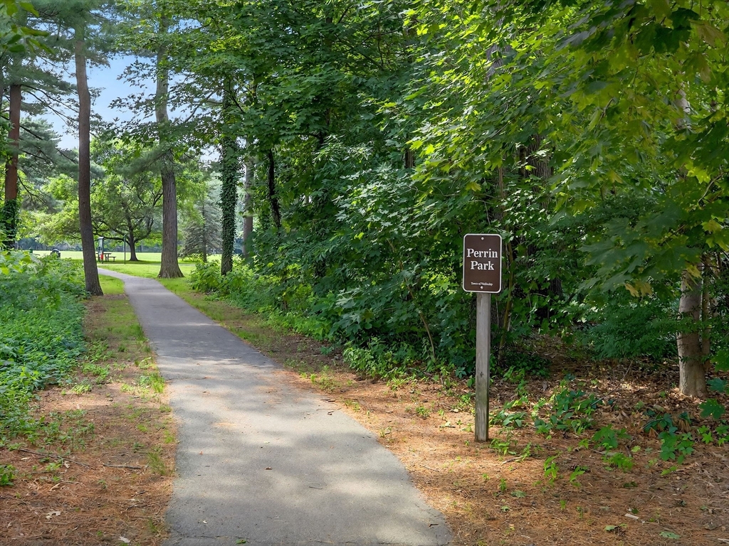25 Bryn Mawr Road Wellesley, MA 02482 - Photo 33 of 34