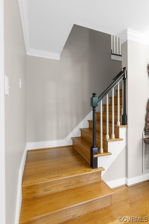 2370 Castlebridge Road Midlothian, VA 23113 - Photo 23 of 47 a view of entryway