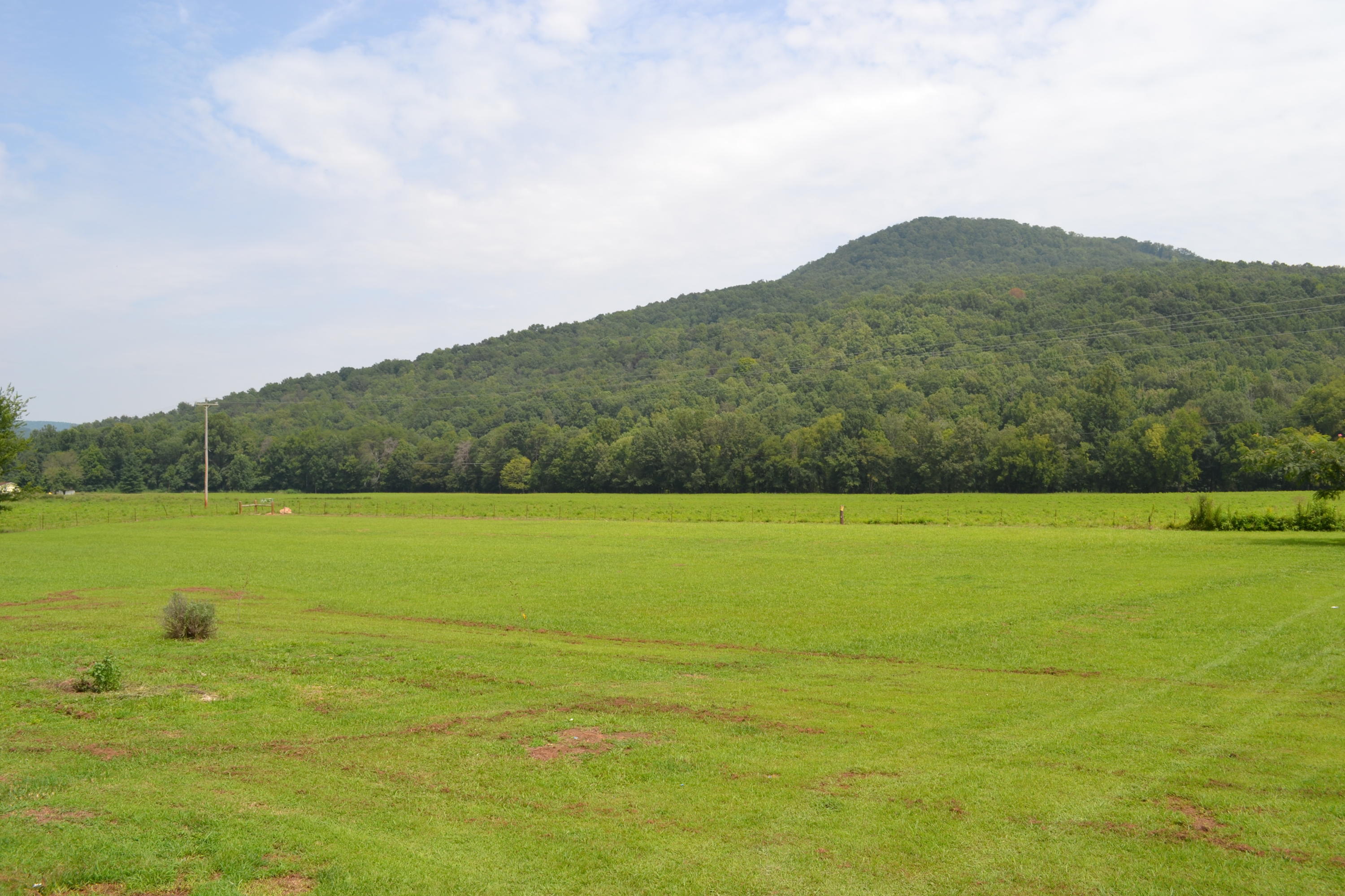 612 Coppinger Cove Road Sequatchie, TN 37374 - Photo 29 of 36 DSC_0316