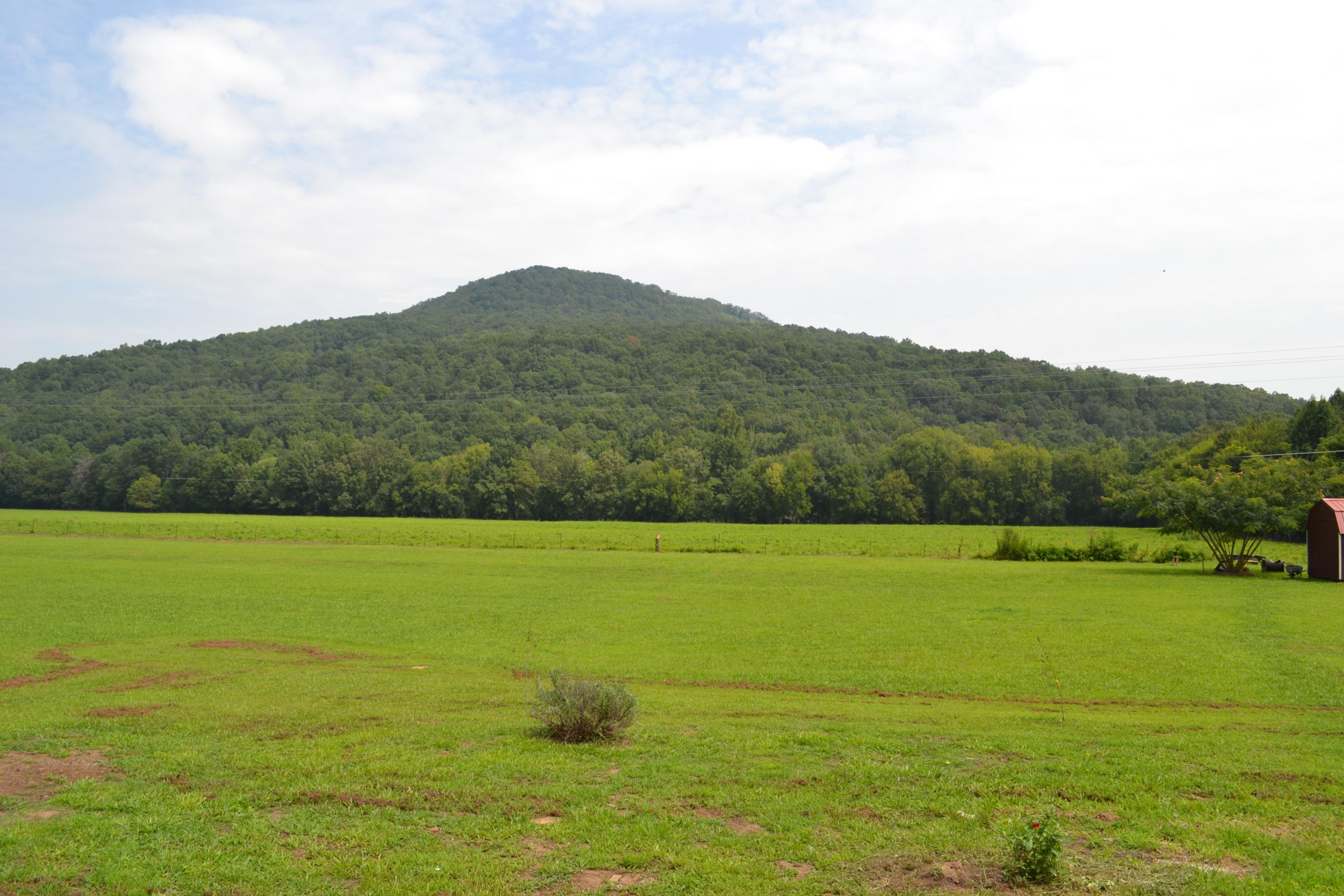 612 Coppinger Cove Road Sequatchie, TN 37374 - Photo 31 of 36 DSC_0330