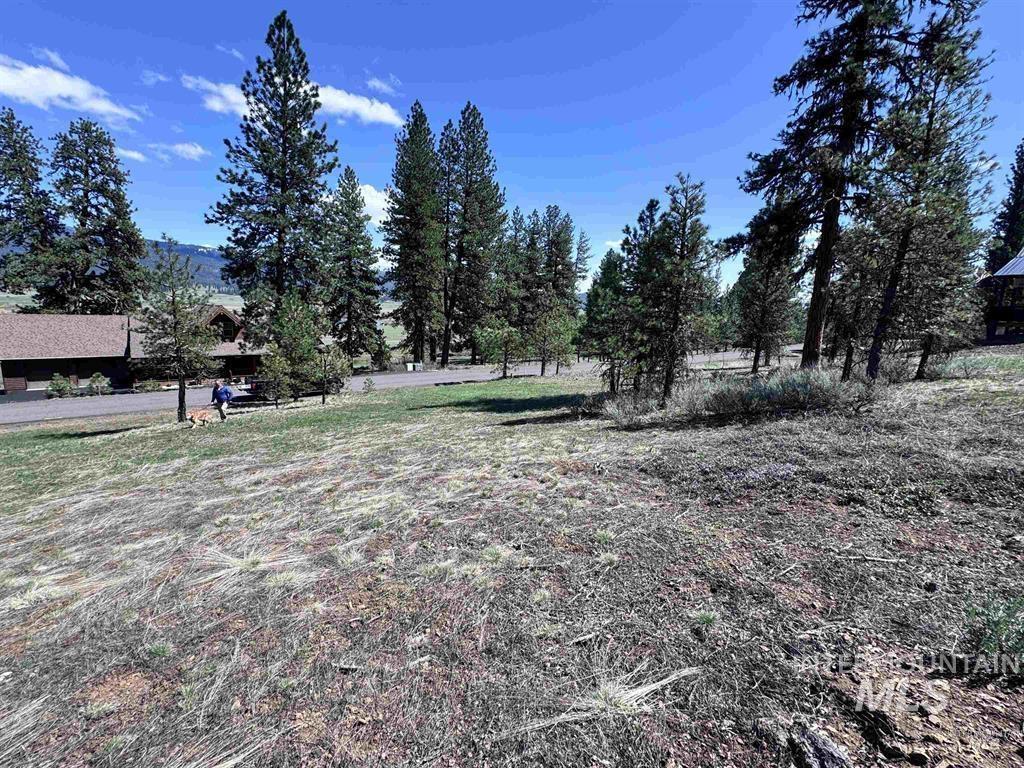 Lot 19 Hot Springs Road New Meadows, ID 83654 - Photo 20 of 28